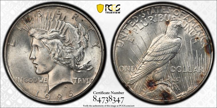 Cert 84738347 - Coin Image