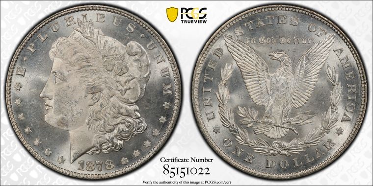 Cert 85151022 - Coin Image