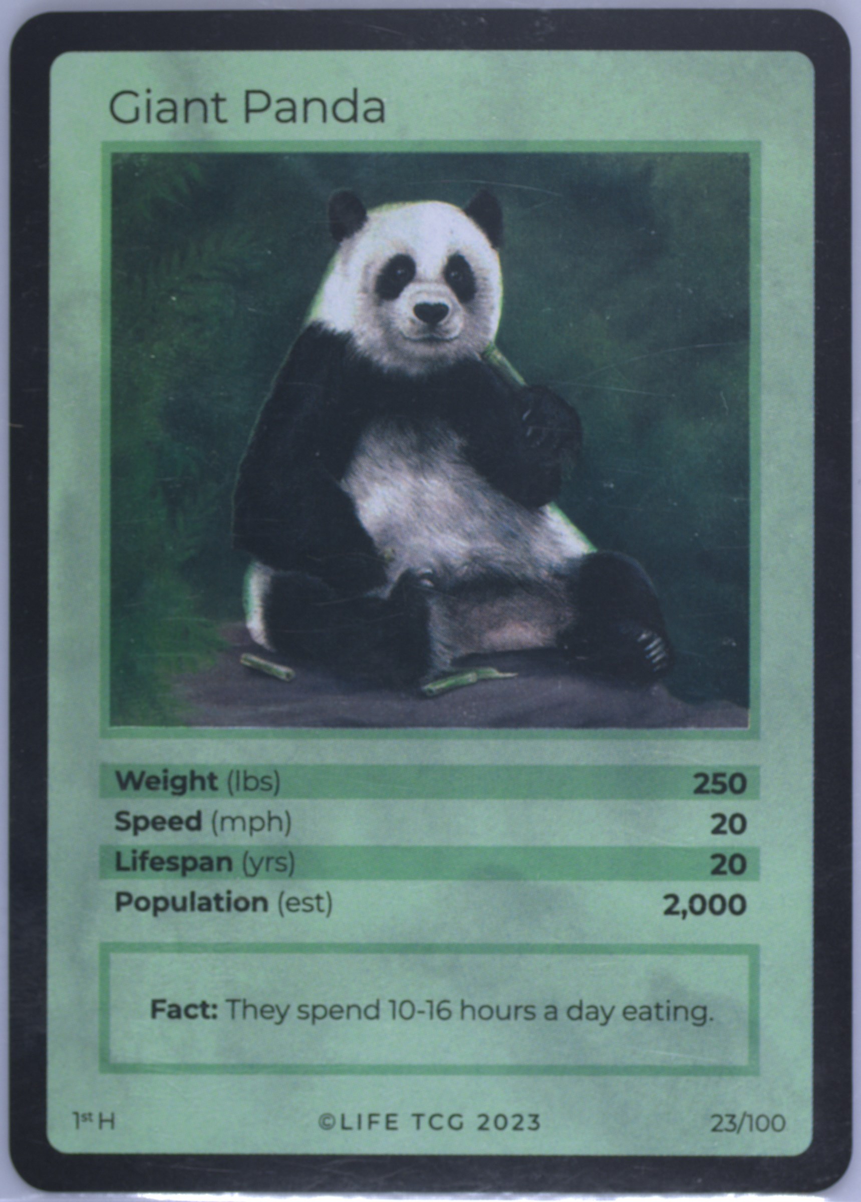 Spec Details
