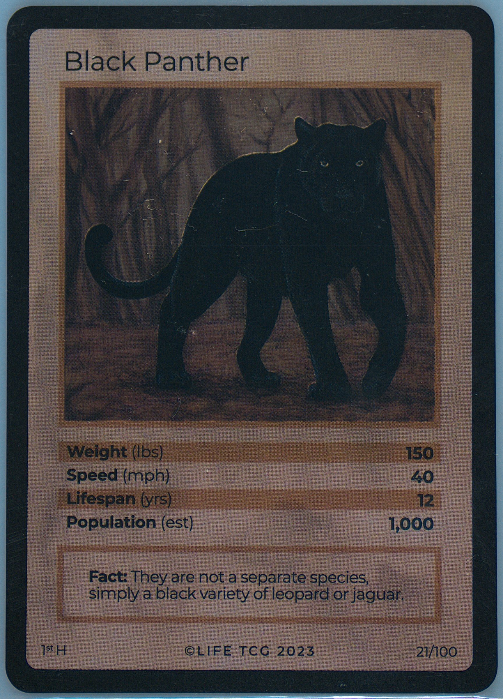 Spec Details