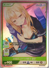 上品なスタイル PSA10】DIVINE CROSS 2枚セット Partner箔 つり