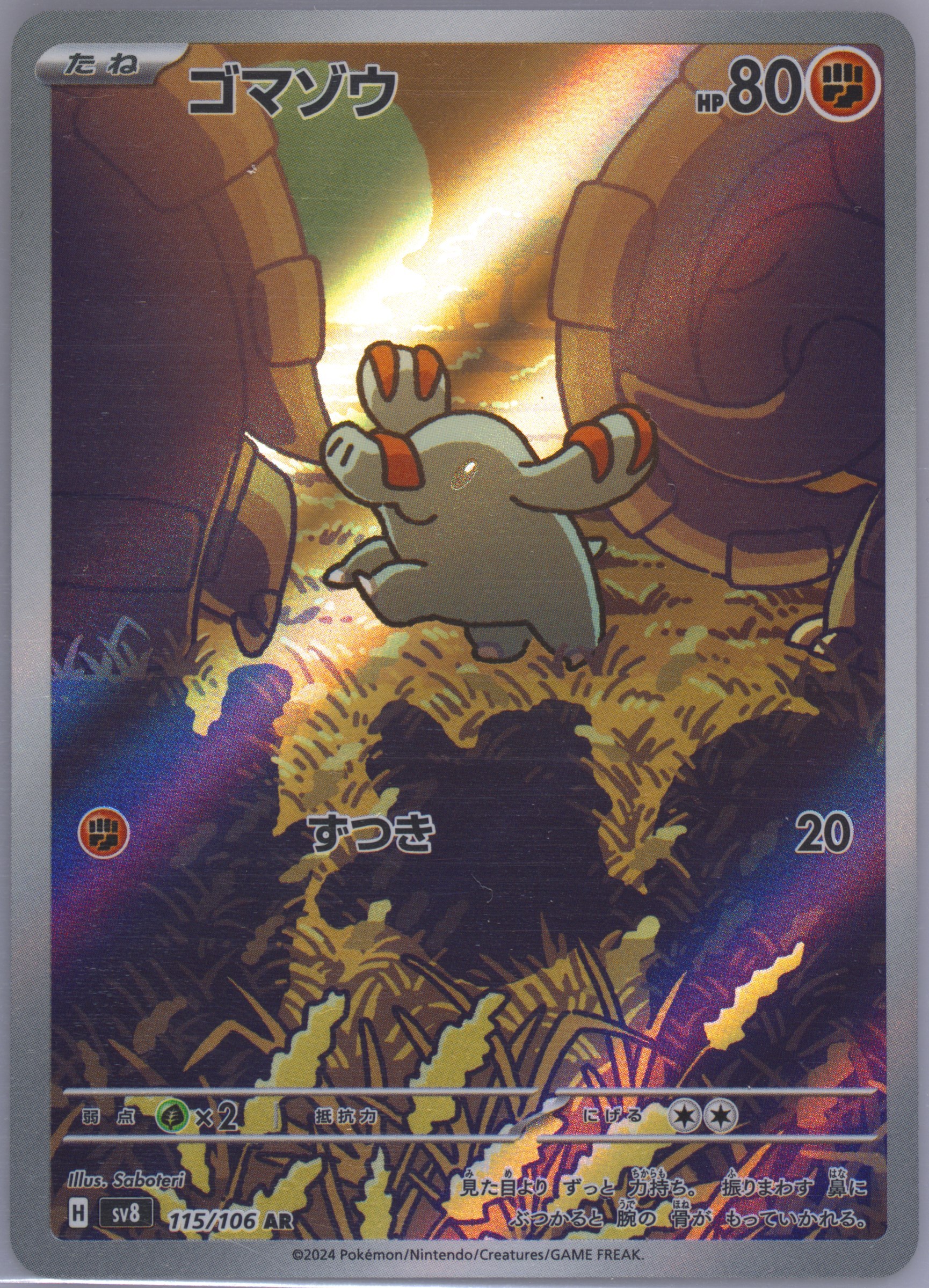 アメリカ購入品 金庫保管品 Phanpy Spec Details