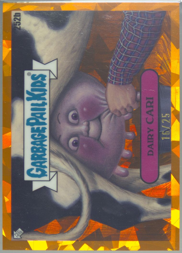 Dairy Cari