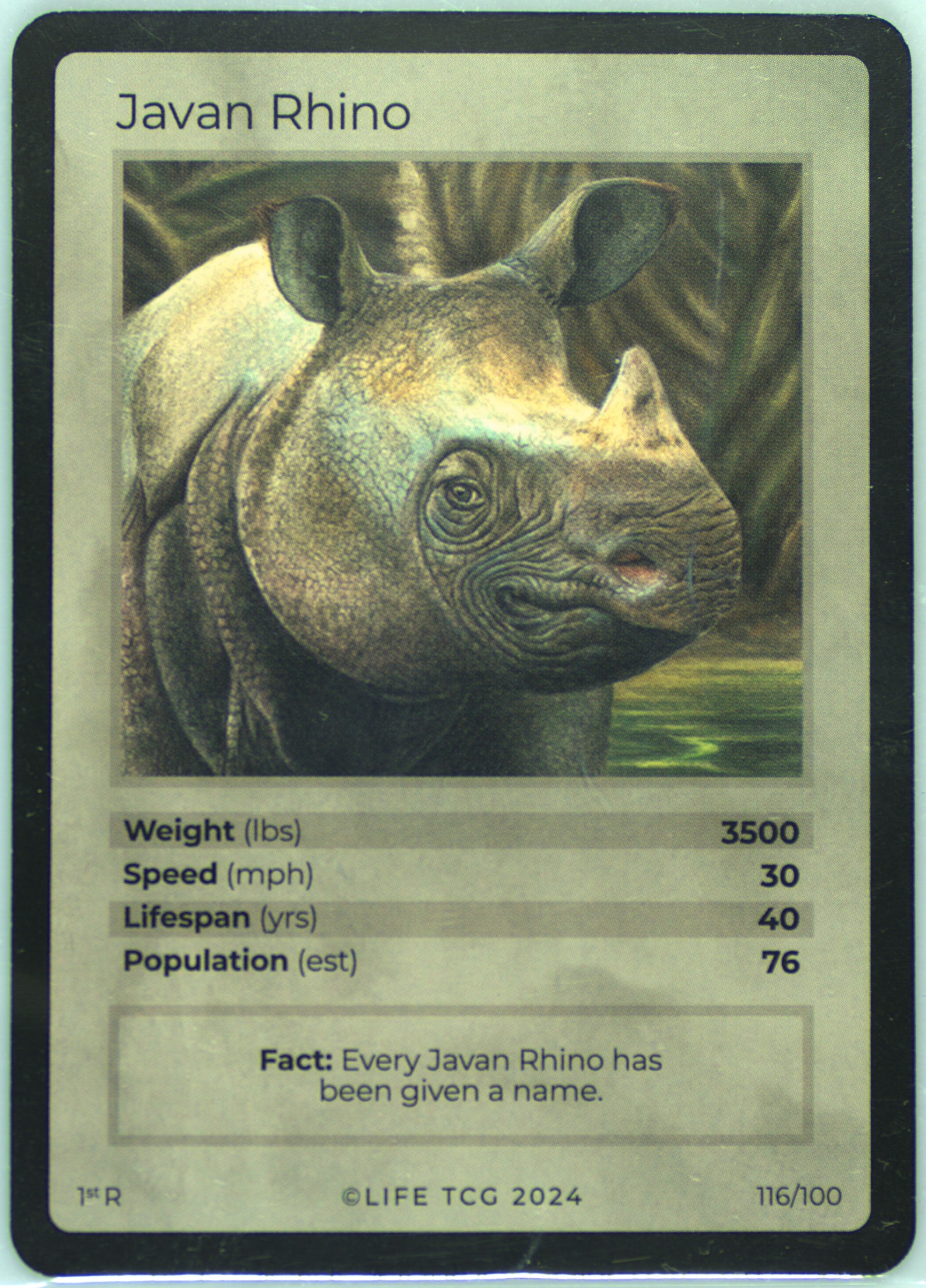 Spec Details
