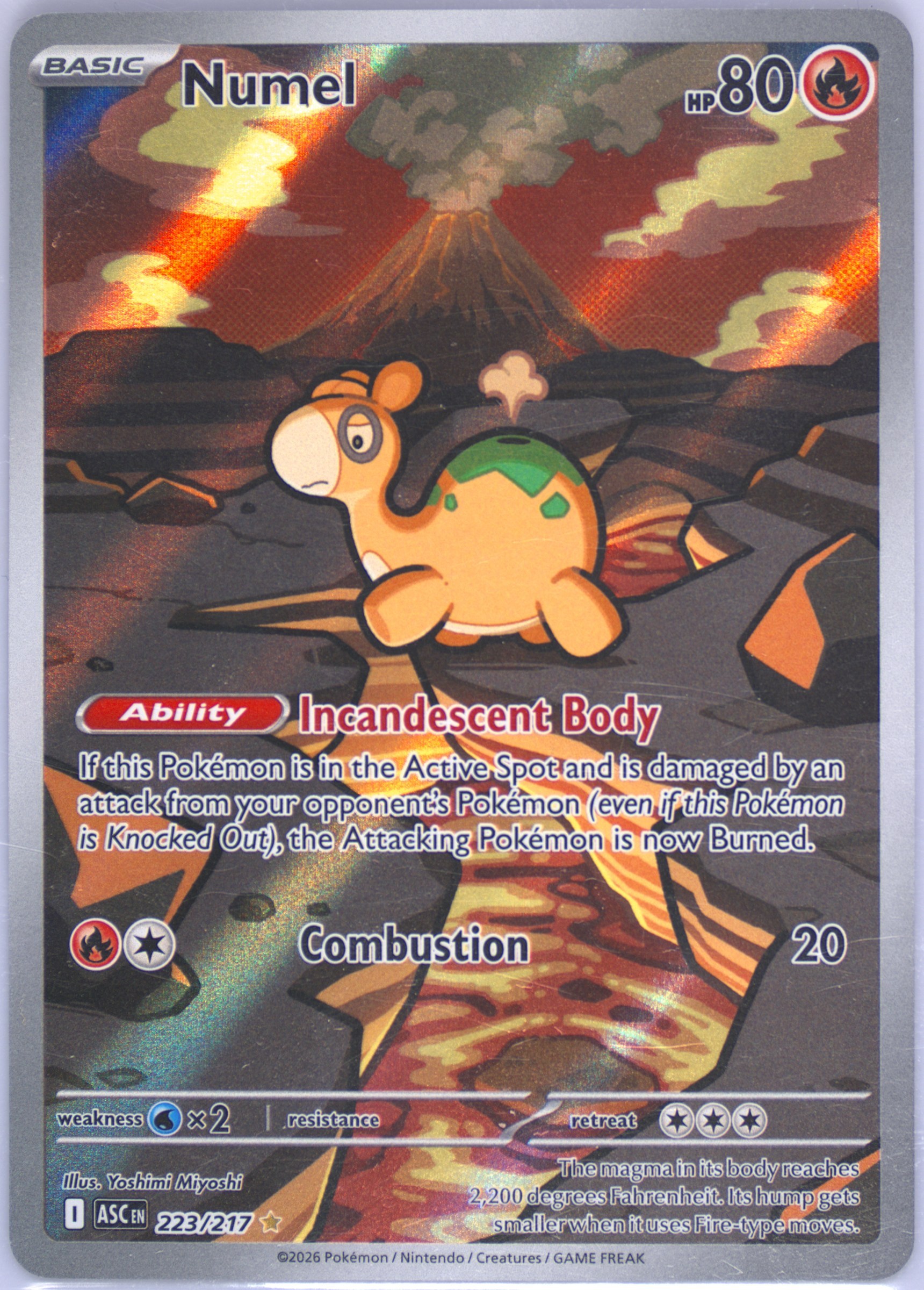 pokemon tgc card Amazon.com: Pokémon Cards