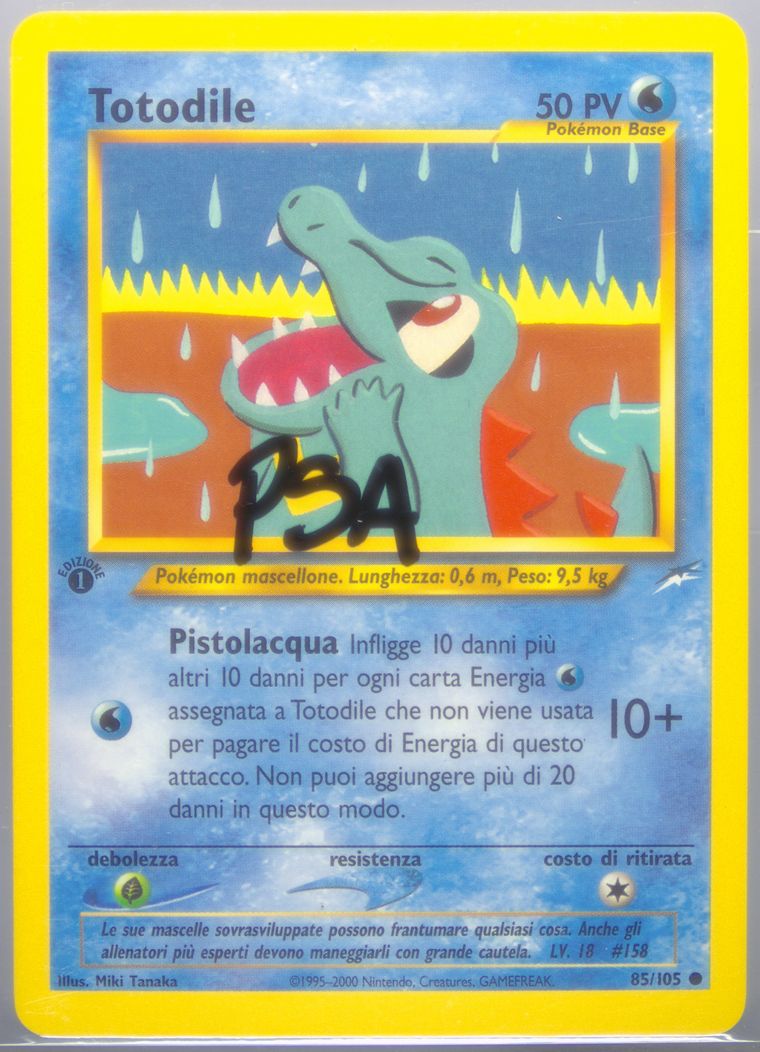 Totodile (Neo Destiny)