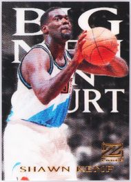 Auction Prices Realized Basketball Cards 1997 Skybox Z-Force
