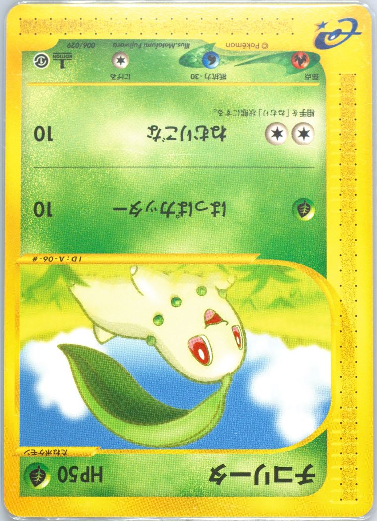 Chikorita