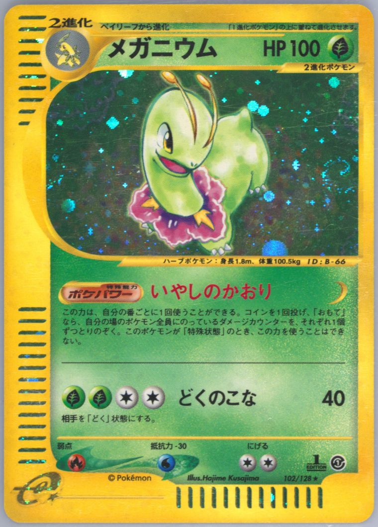 Meganium-Holo (Expedition)