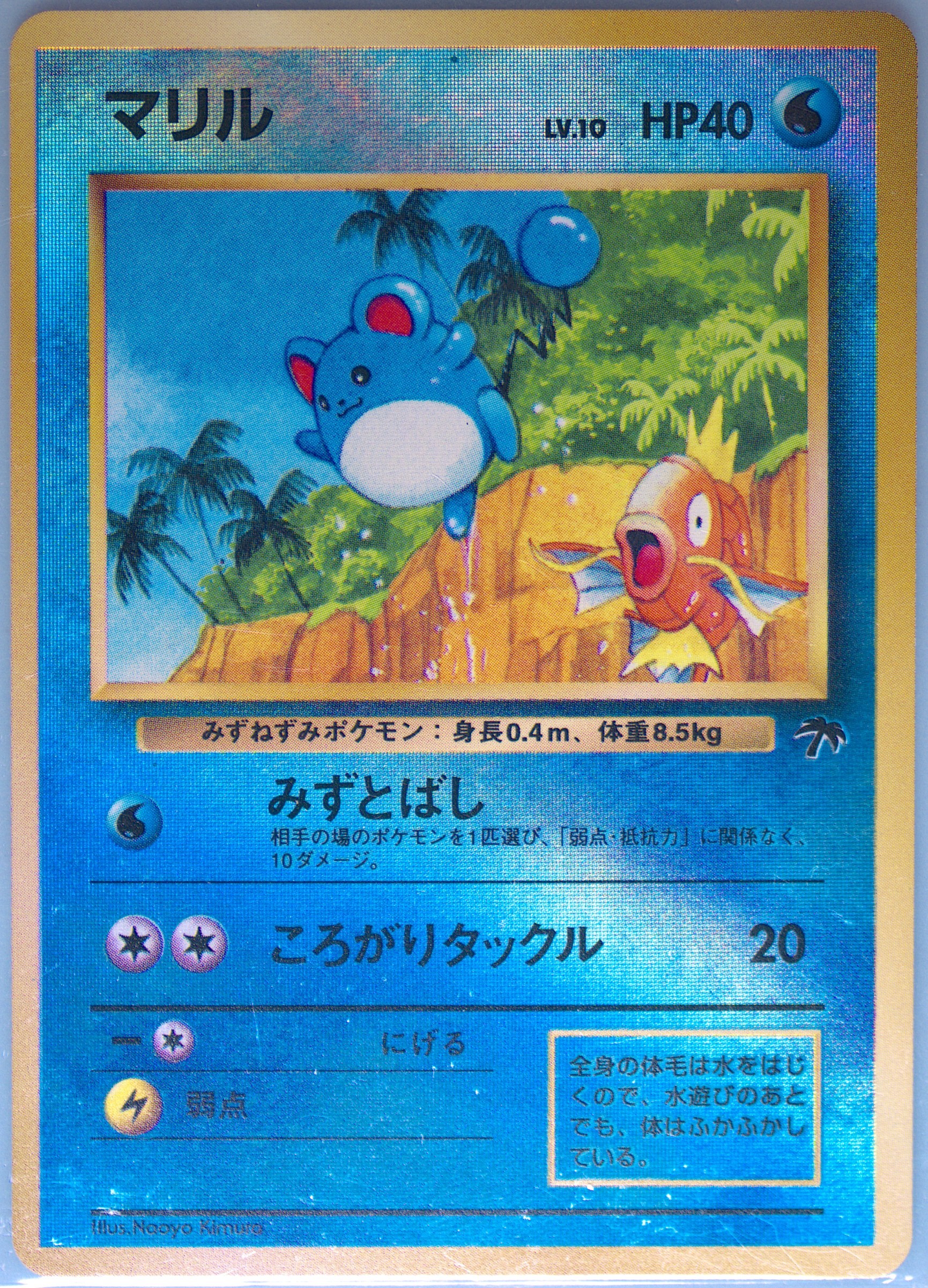 マリル　サザンアイランド　psa7 Spec Details