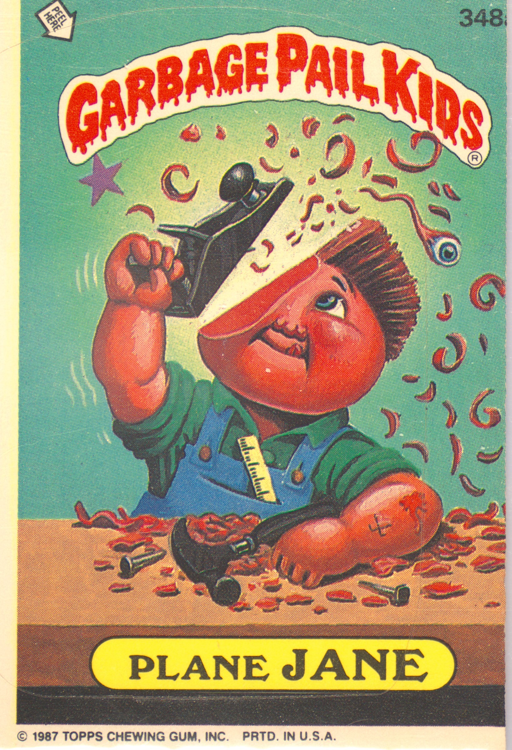 Plane Jane #348A PSA 6 Garbage Pail Kids card front