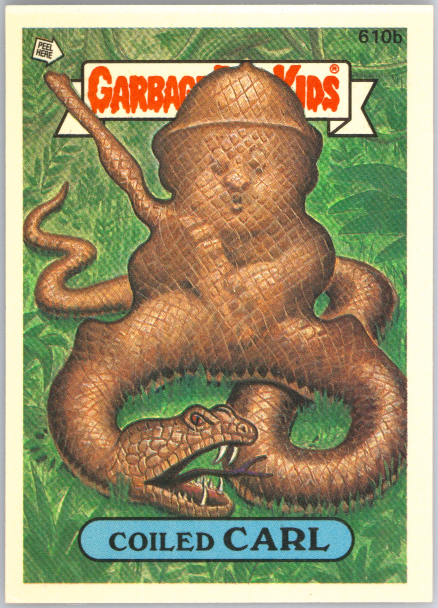 Coiled Carl
