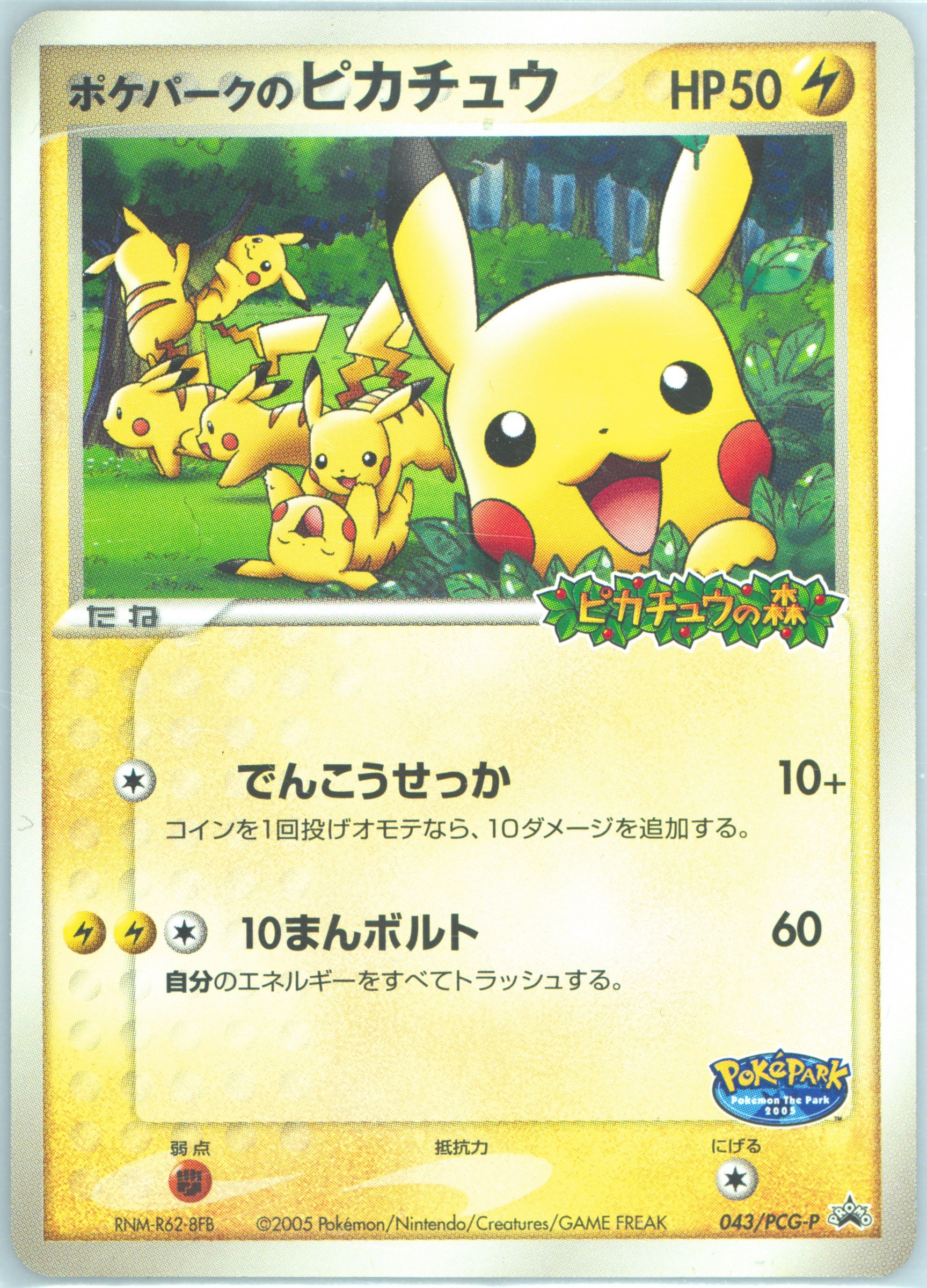 PSA1 ポケパークのピカチュウ プロモ　pokepark pikachu PokePark's Pikachu - PokePark Forest - Pokemon Japan - TCGplayer.com