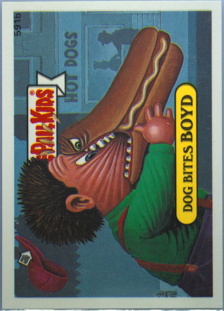 Dog Bites Boyd