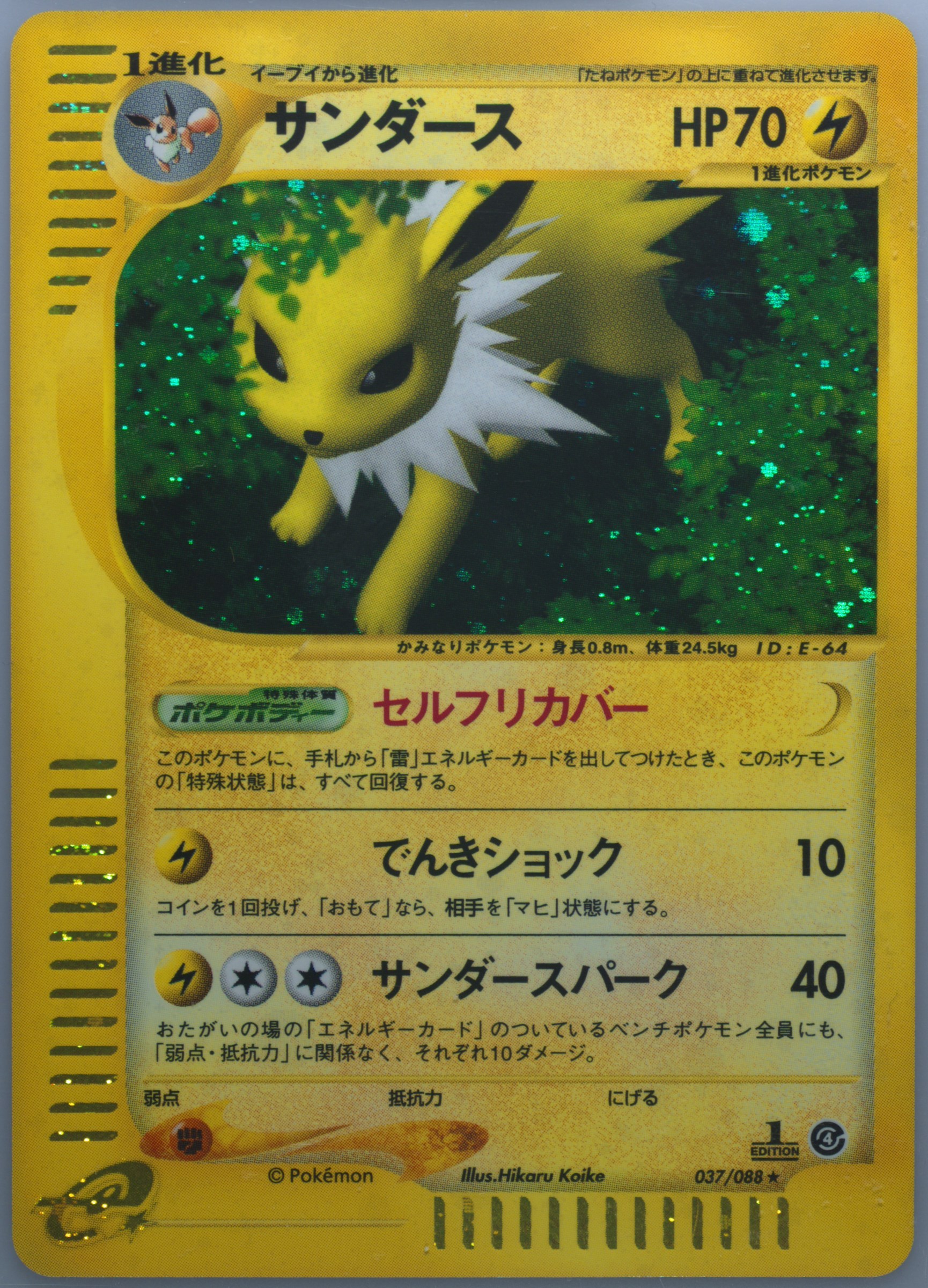 PSA8 サンダース 1ED ホロ Jolteon 2003 Spec Details