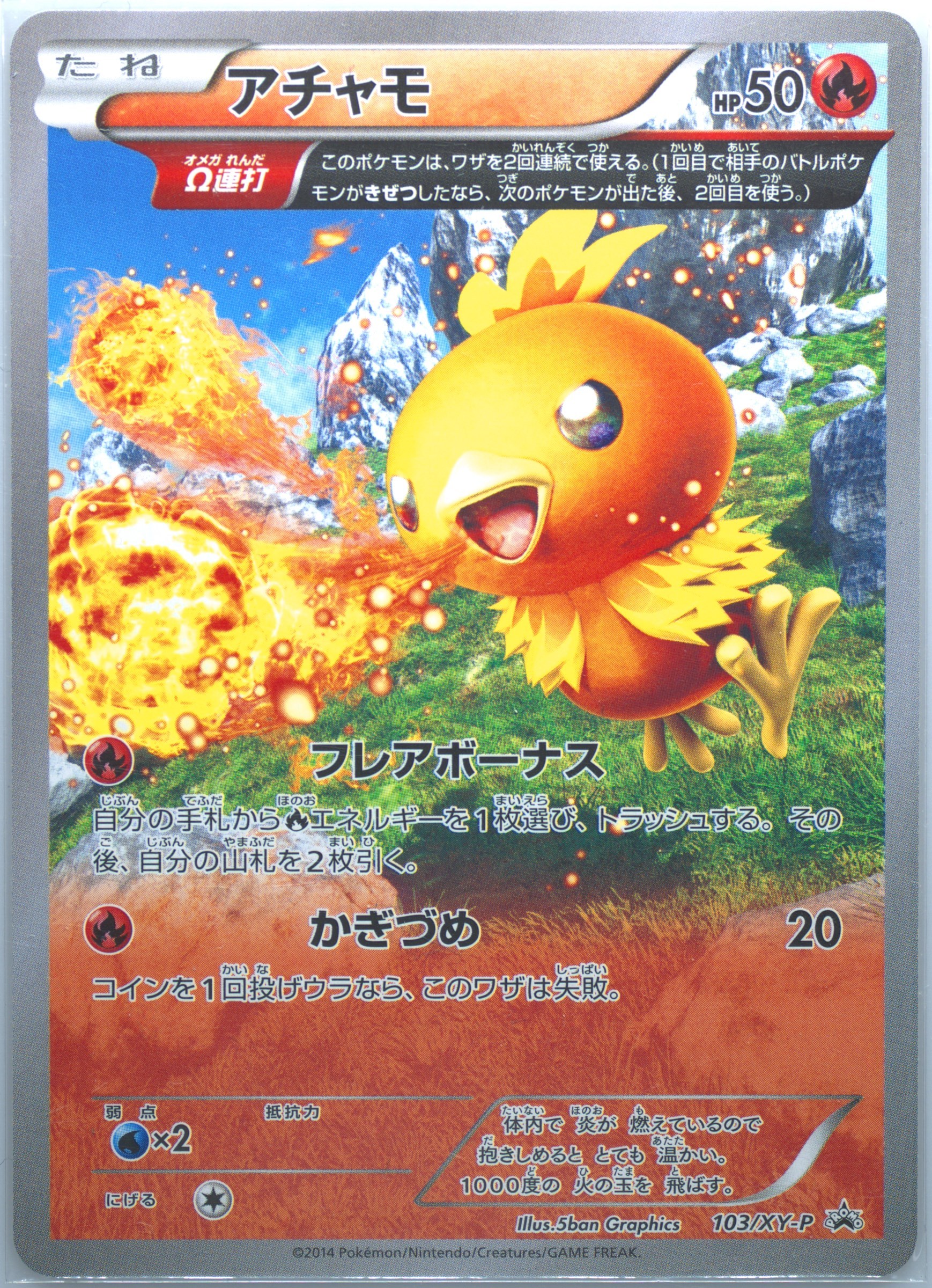 PSA10＊2014 アチャモ PROMO 世界83枚 希少 Torchic Spec Details