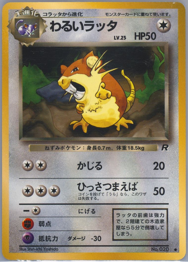 Dark Raticate (Rocket)