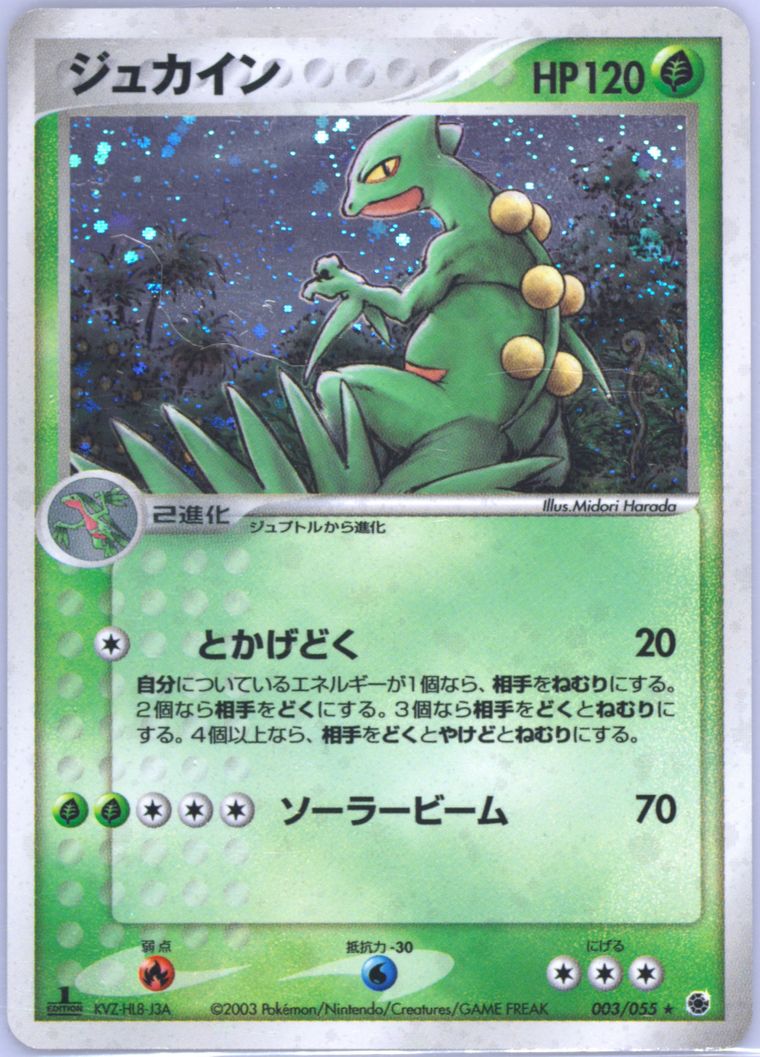 Sceptile-Holo (Expansion Pack)