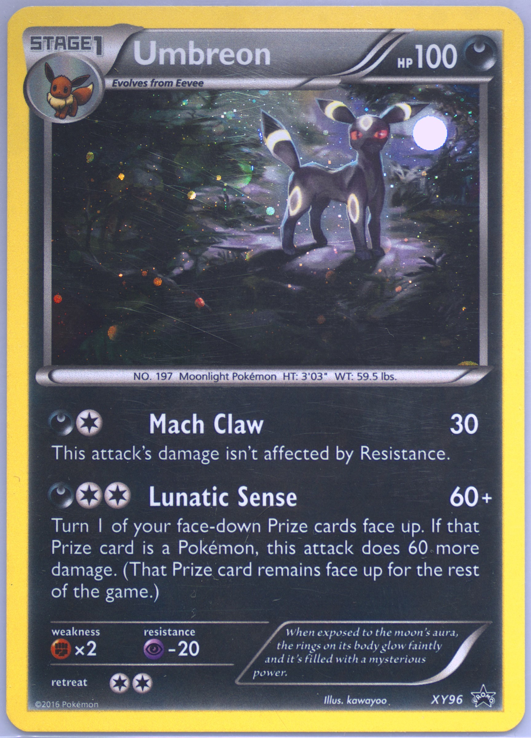 Spec Details