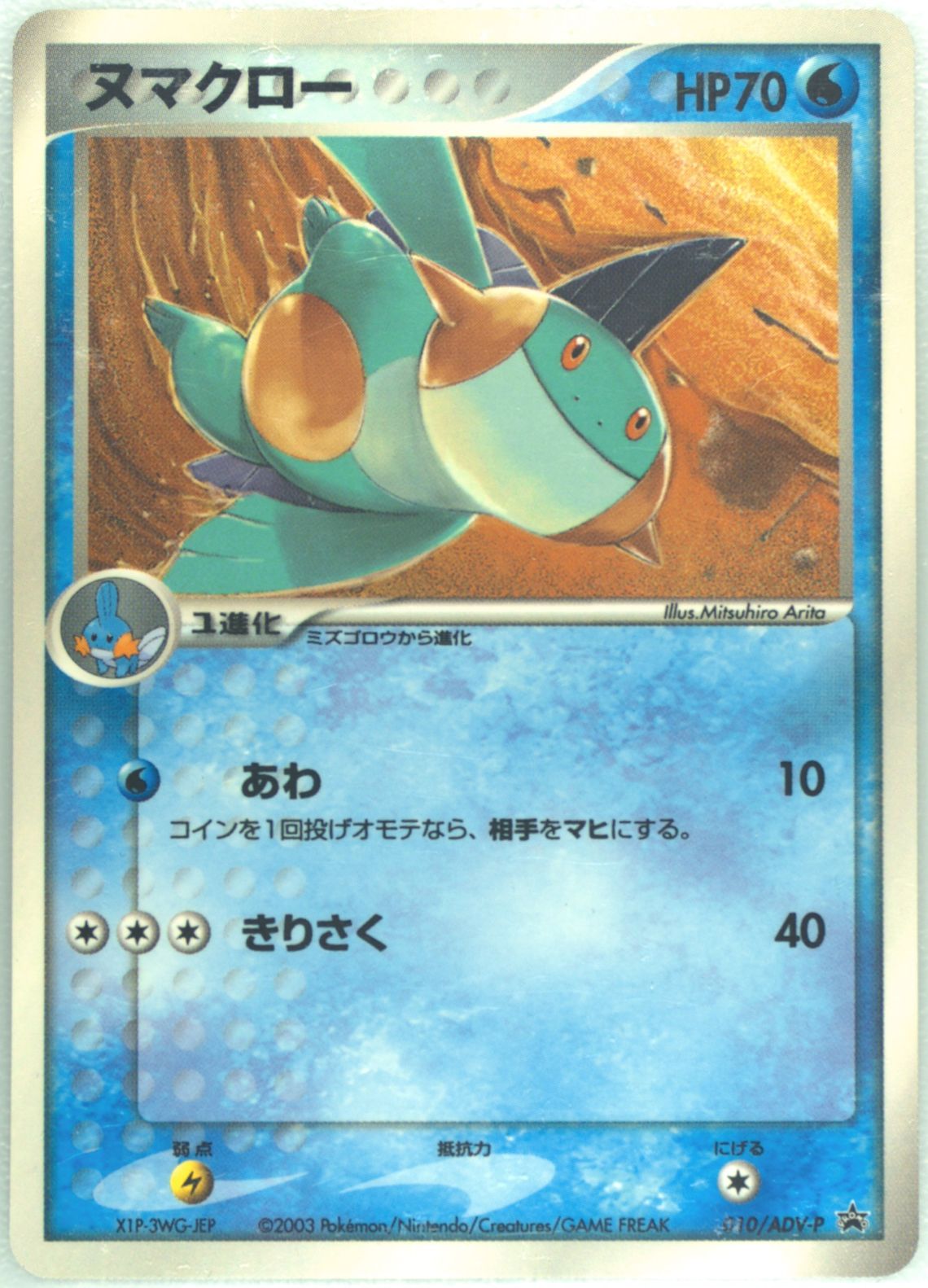 Auction Prices Realized Tcg Cards 2003 Pokemon Japanese Promo