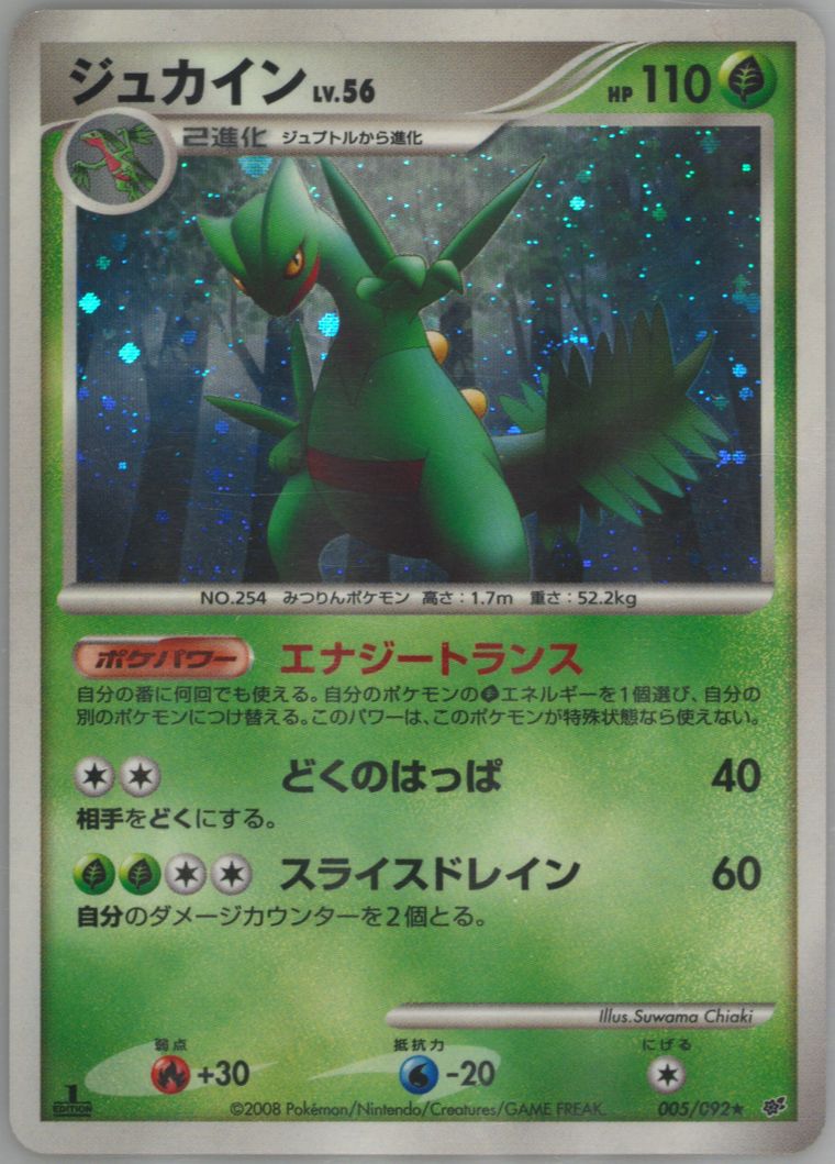 Sceptile-Holo (Stormfront)