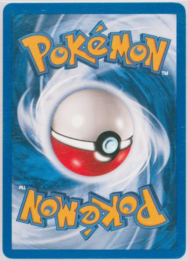 世界94枚 PSA10 アクア団のライボルト 1ST 2003 039 11 2003 アクア団のライボルト PSA 9 1st エディション - カルドバ