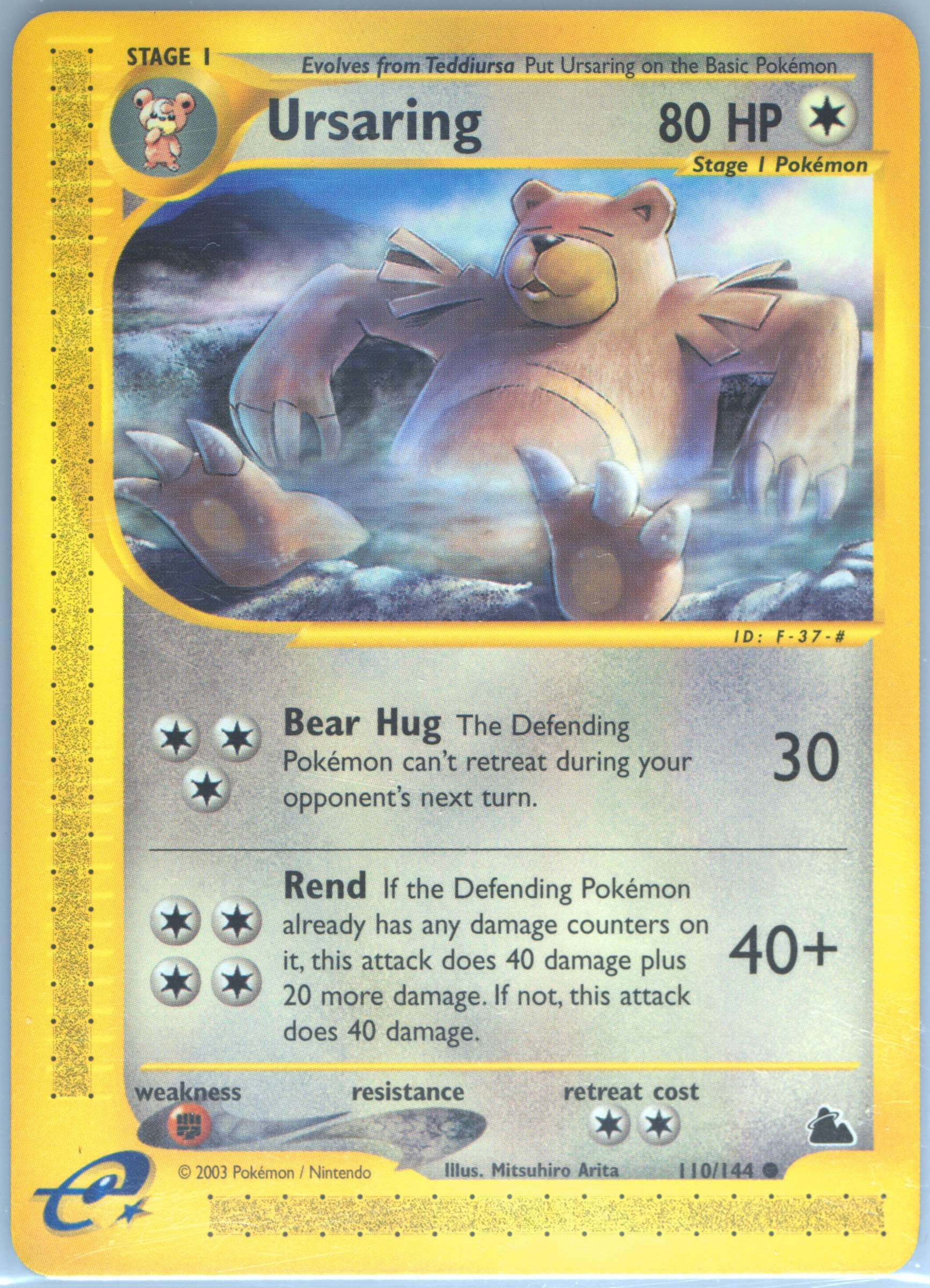 PSA10シバのリングマ e VS Bruno's URSARING 1ED Spec Details
