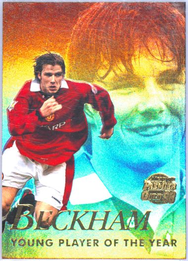 Merlin's Premier Gold Beckhamベッカム