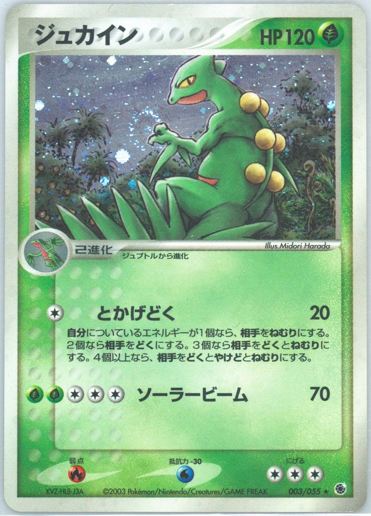 Sceptile-Holo (Expansion Pack)
