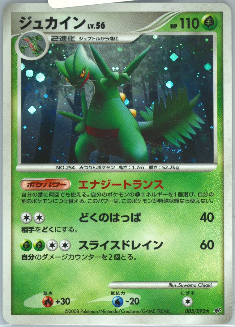 Sceptile-Holo (Stormfront)