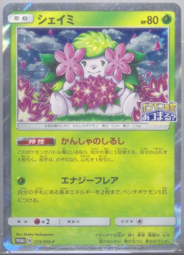 shiiiim*セール中* Auction Prices Realized Tcg Cards 2018 POKEMON JAPANESE SM