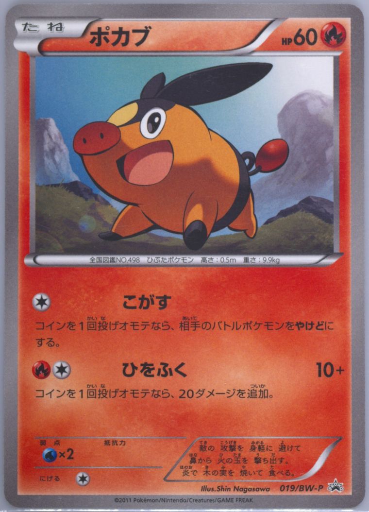 Tepig (Black White Promo)