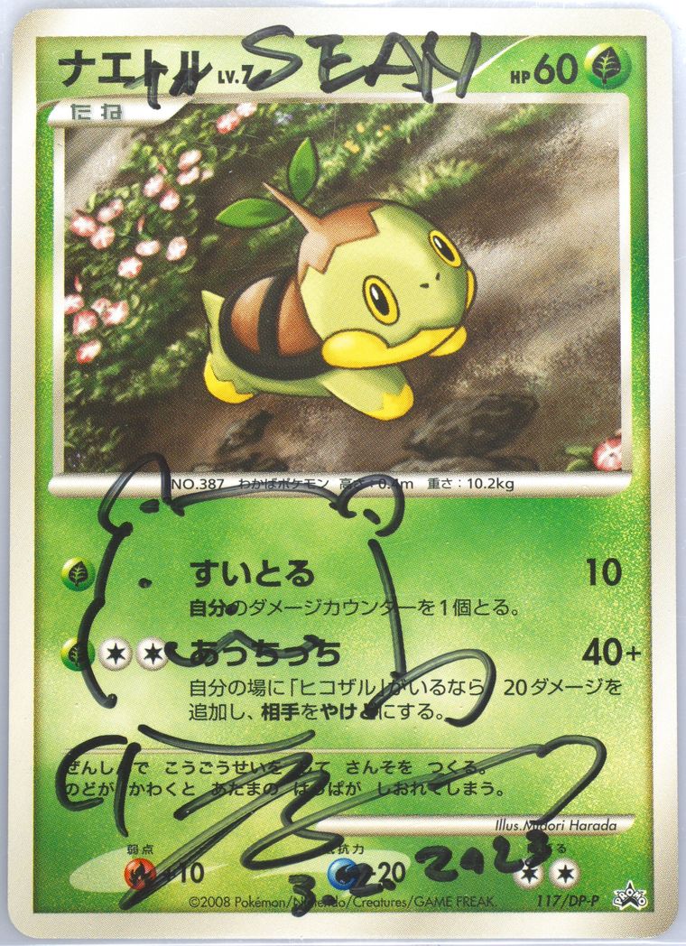 Turtwig (Promo)