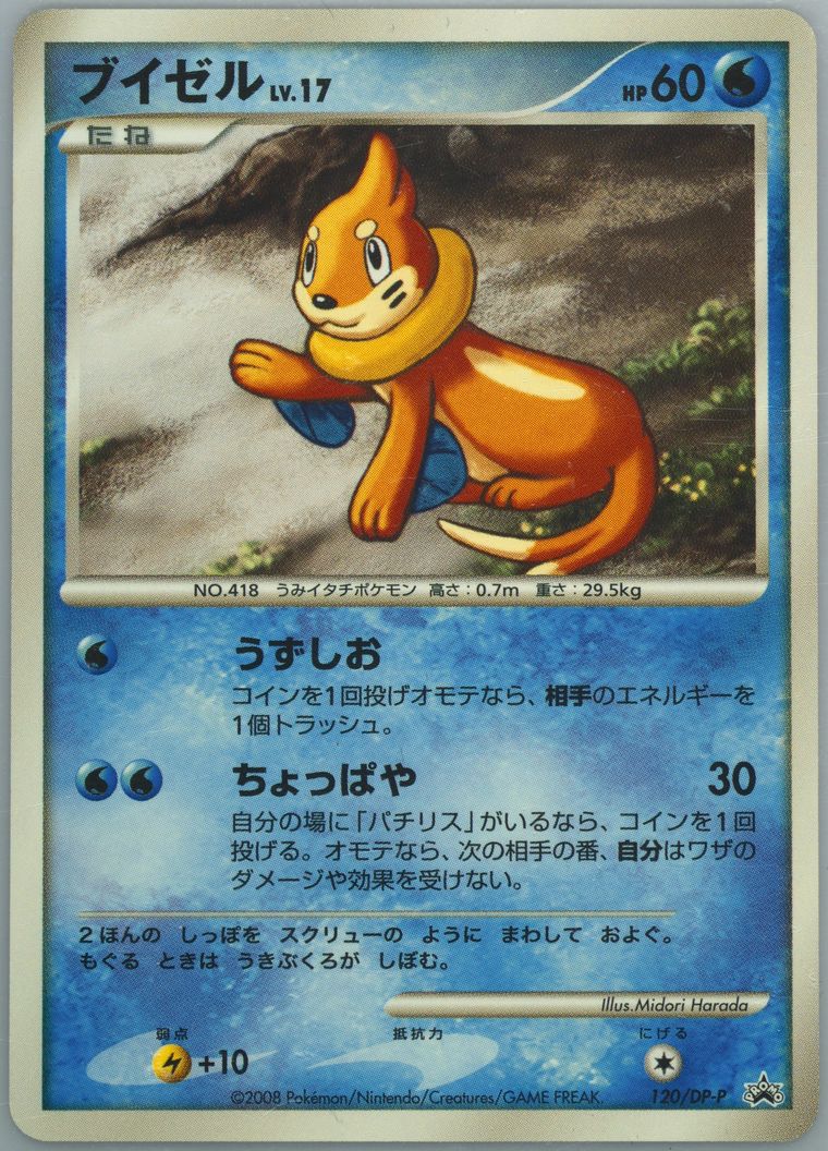 Buizel (Promo)