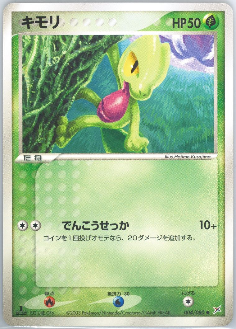 Treecko (Magma Vs Aqua)