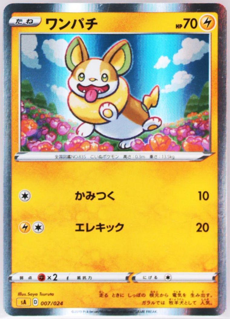 Yamper-Holo