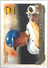 Auction Prices Realized Baseball Cards 1993 Topps Gold