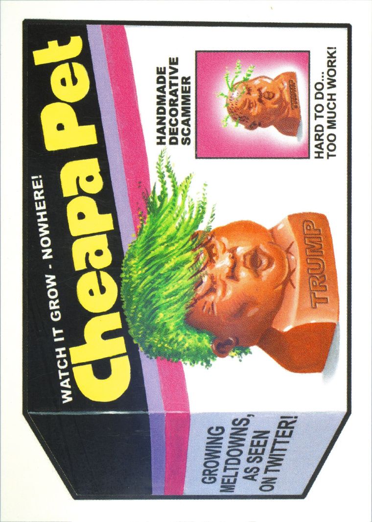 Cheapa Pet