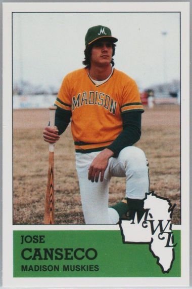 🐶 1981 Topps Cubs Future Stars Lezcano, Macko, and Martz