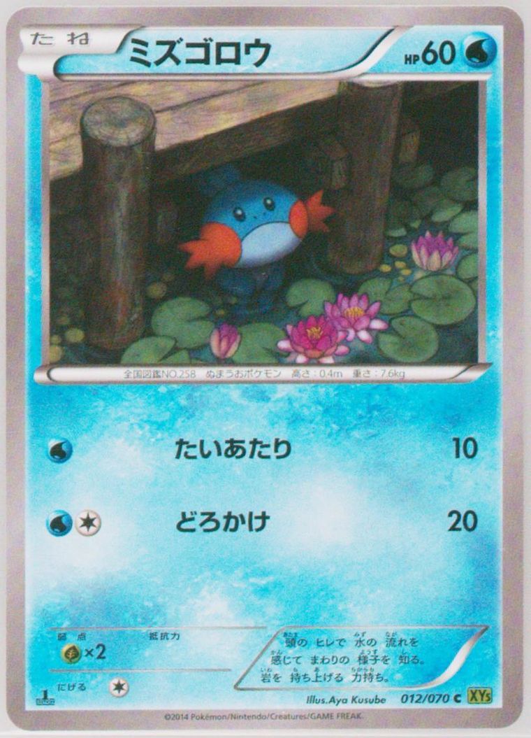 Mudkip (Tidal Storm)