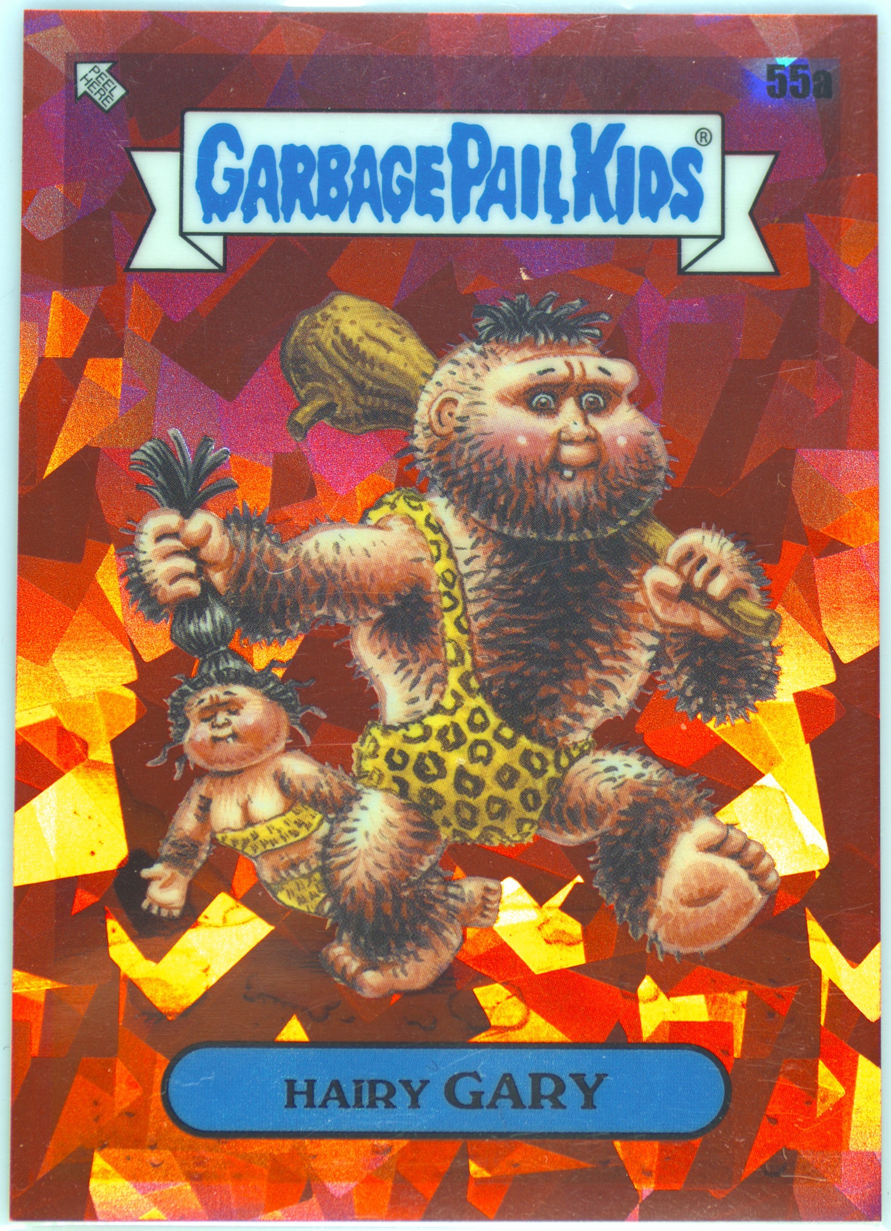 Hairy Gary #55A