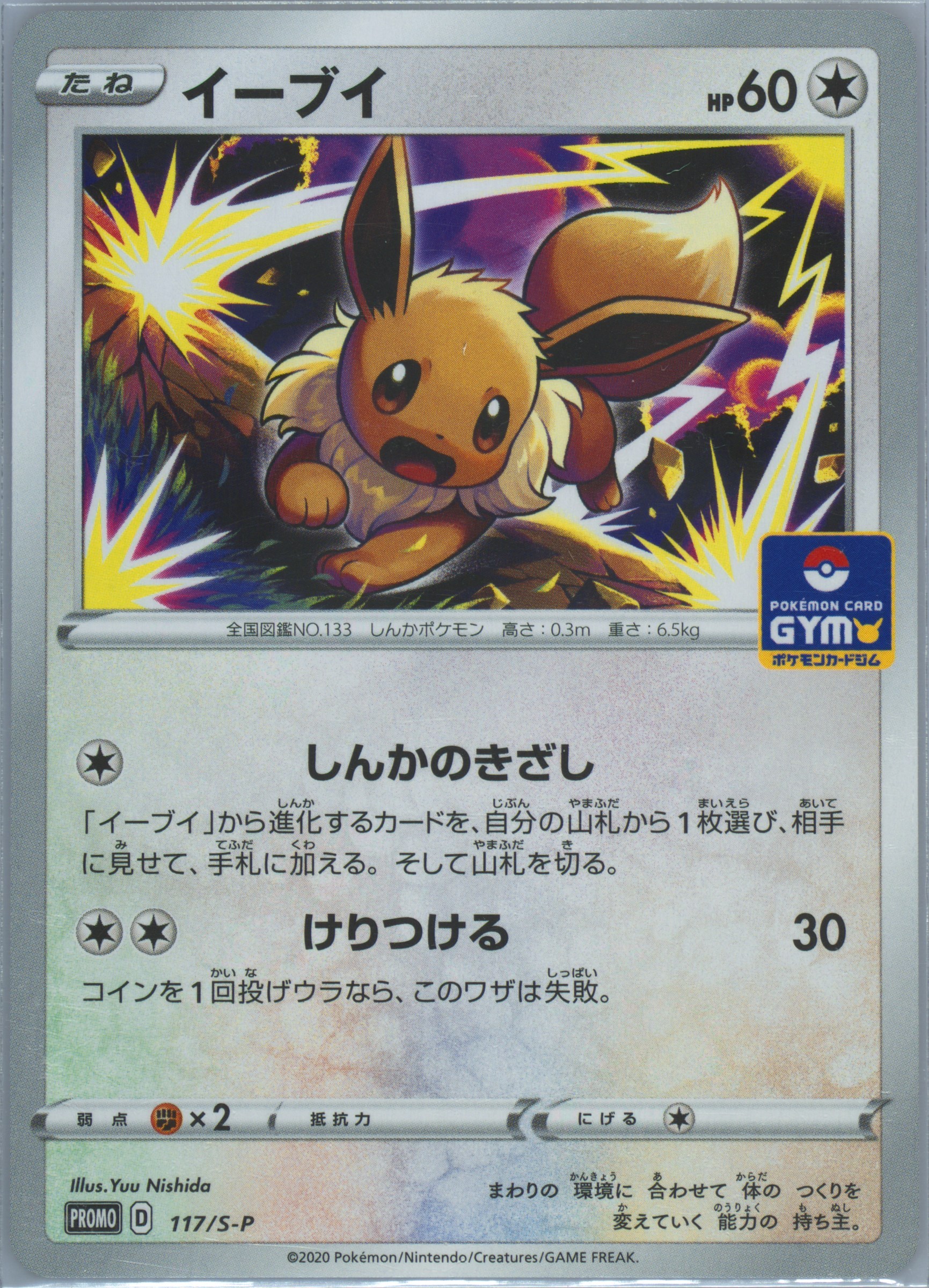 PSA10 イーブイ PROMO プロモ 117/S-P Spec Details