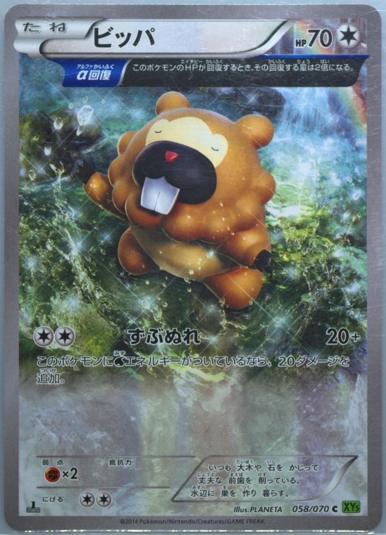 Bidoof (Tidal Storm)