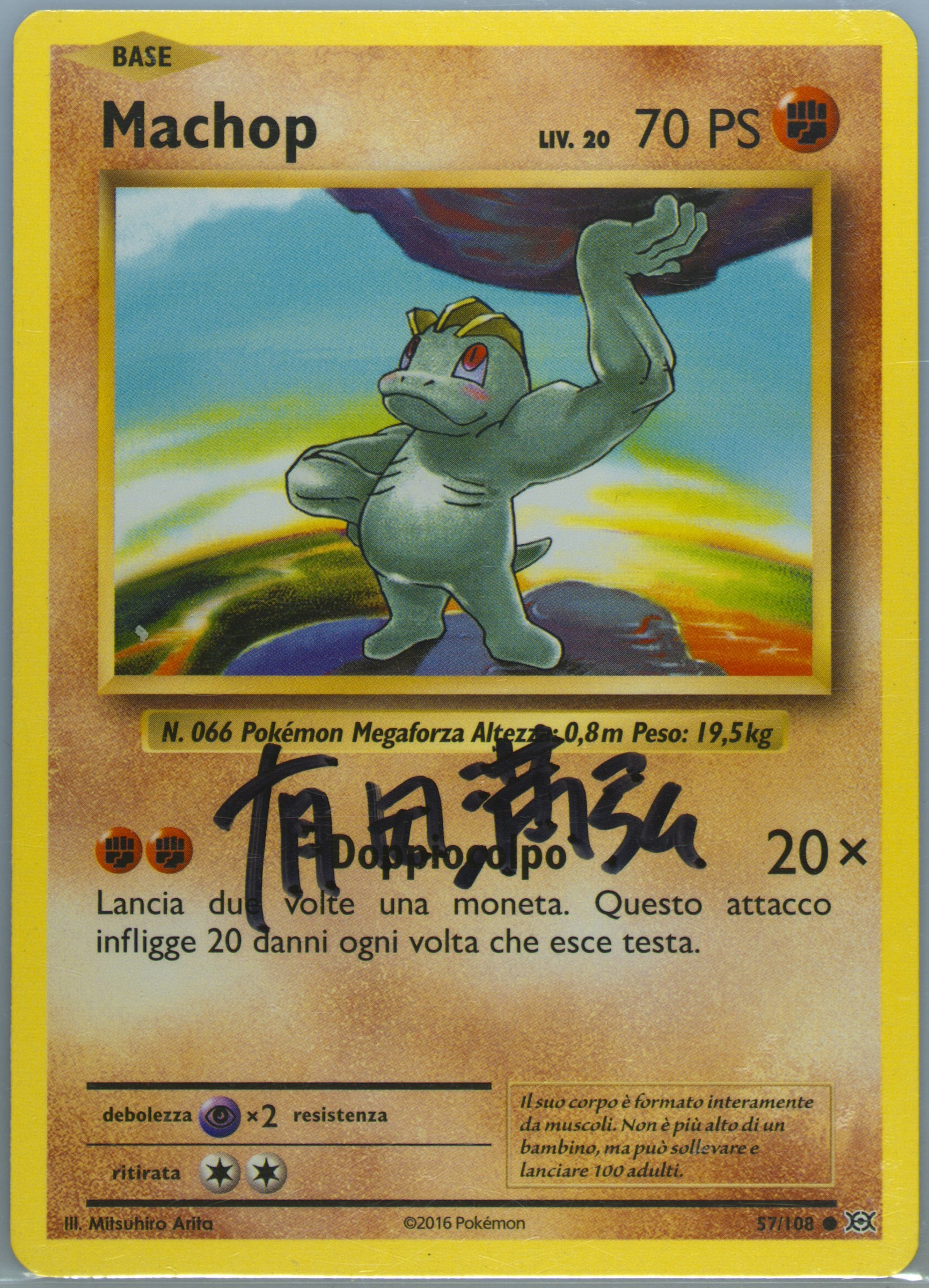 machop pokemon card 2016 Pokémon Card Machop #66 TV Animation Blue Logo 1st Print ENG L015227 – AGS  Collectibles main image 1