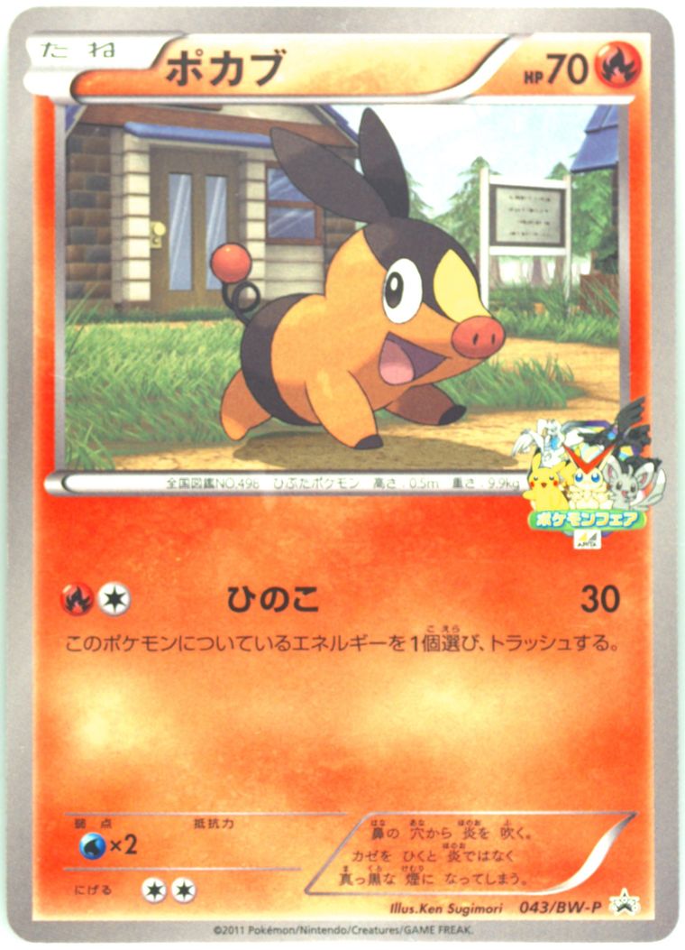 Tepig (Black White Promo)