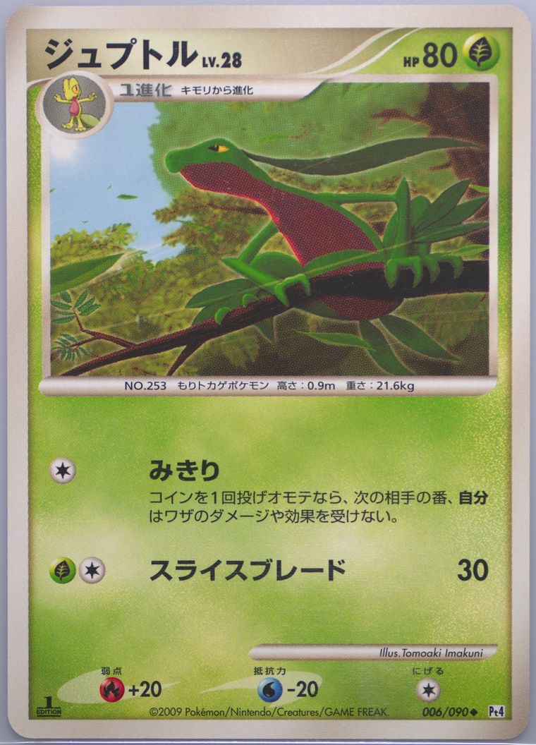 Grovyle (Advent of Arceus)