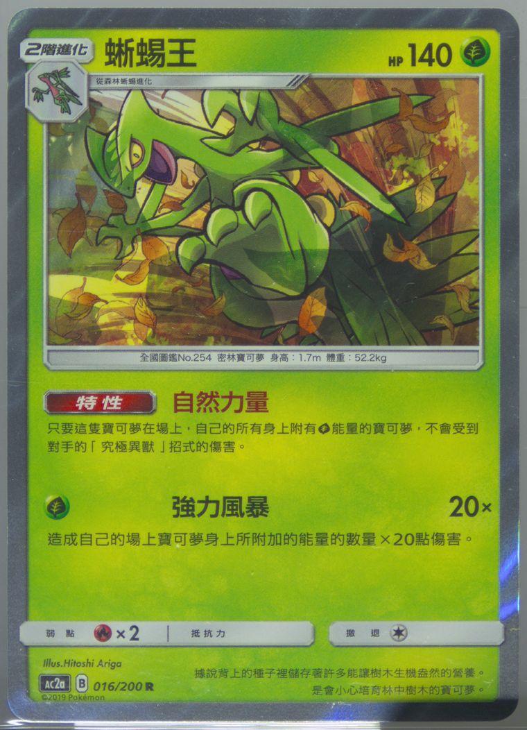 Sceptile-Holo - Sun Moon Dreams Come True Collection - Pokemon Chinese card