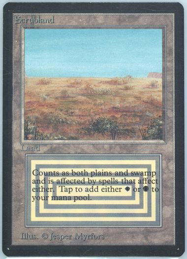 マジック：ザ・ギャザリング Scrubland Scrubland | Magic 30th Anniversary Edition | Card Kingdom