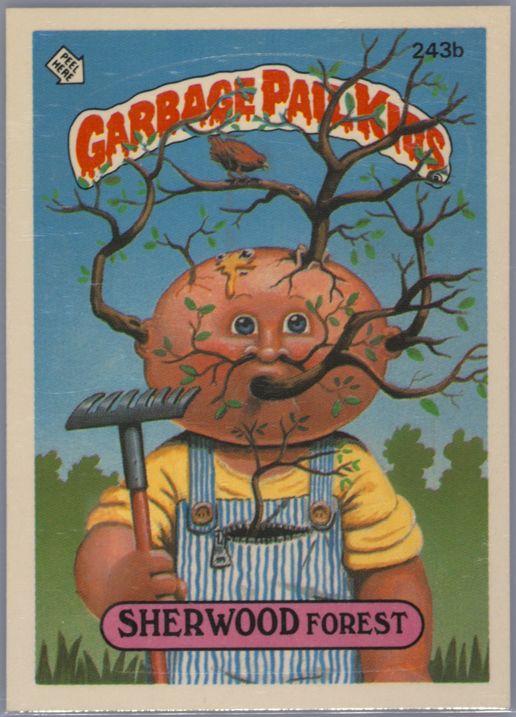 1986 Topps Garbage Pail Kids Original Series 6 #243b Sherwood Forest front