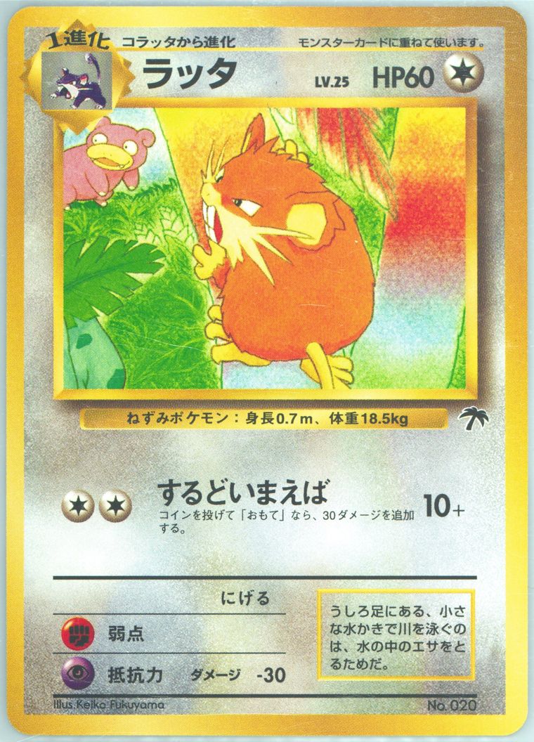 Raticate (Promo Southern Islands)